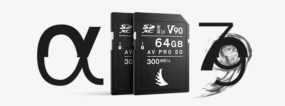 Karta pamięci Angelbird AV Pro SDXC 64GB V90 MK2 UHS-II (300 MB/s) Match Pack dla Sony a7, a9